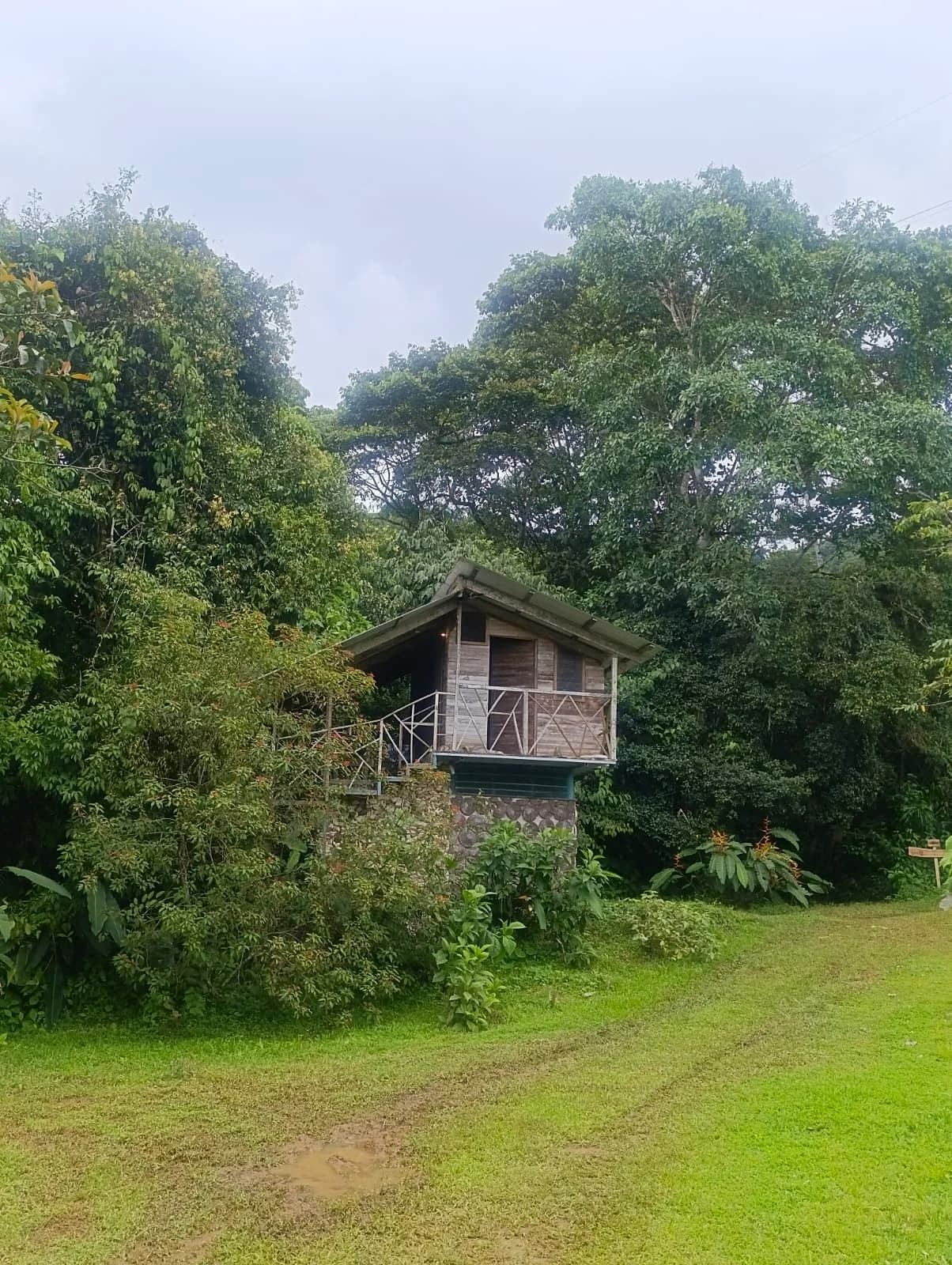 Accommodation